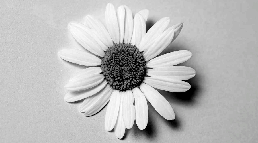 Un appunto di poesia